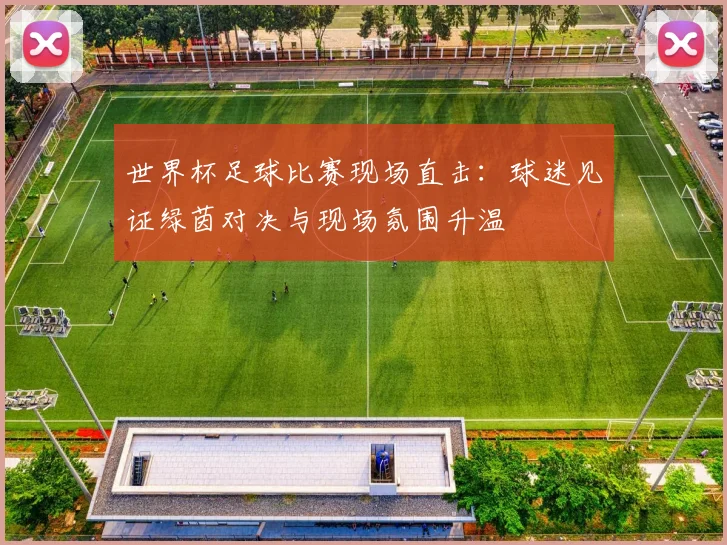 世界杯足球比赛现场直击:球迷见证绿茵对决与现场氛围升温