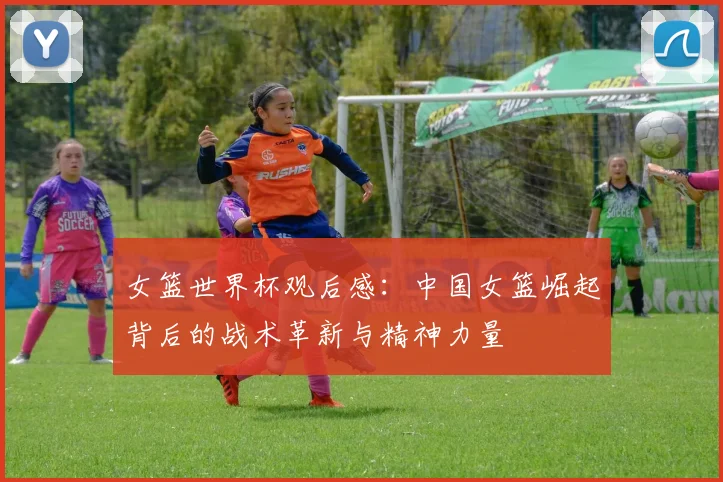 女篮世界杯观后感:中国女篮崛起背后的战术革新与精神力量